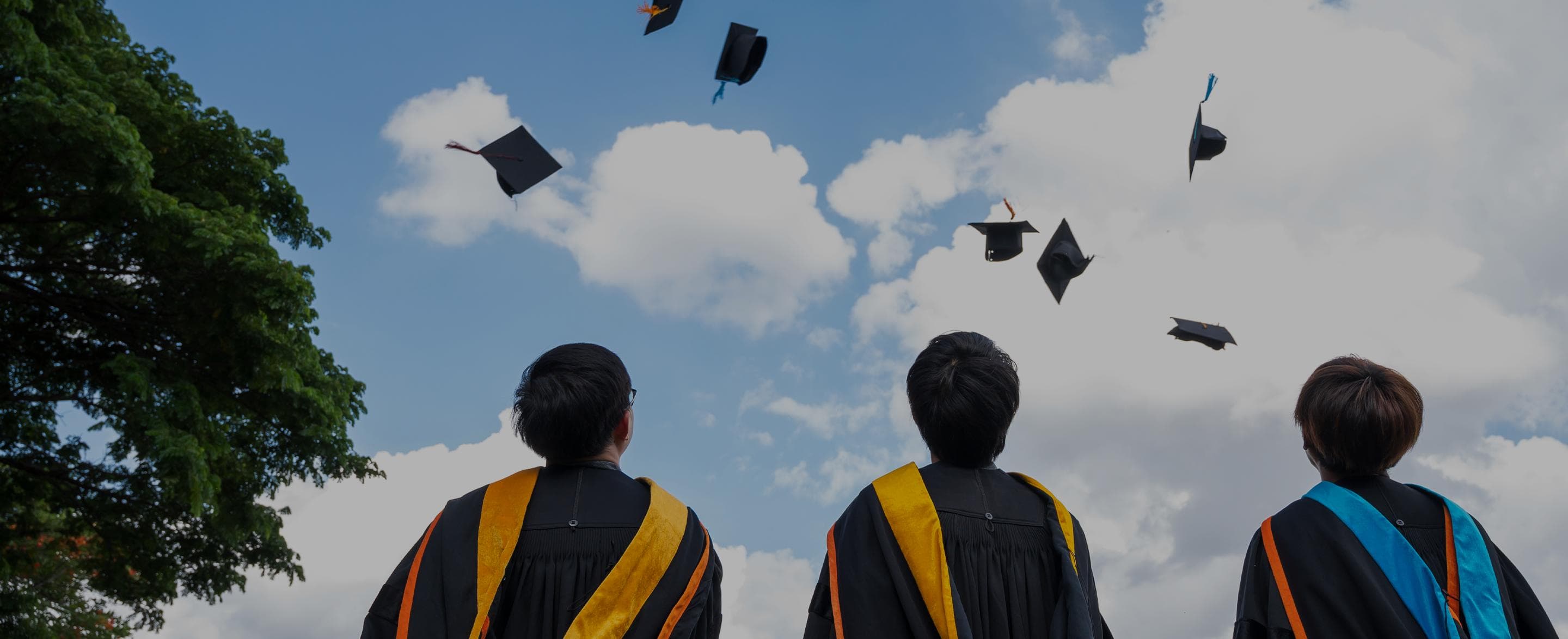 Wisuda Universitas Bangsa — selebrasi pencapaian akademik